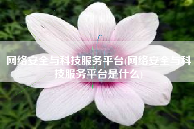 网络安全与科技服务平台(网络安全与科技服务平台是什么)