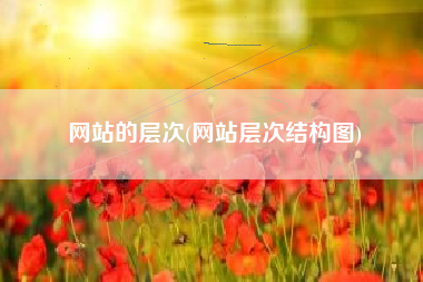 网站的层次(网站层次结构图)