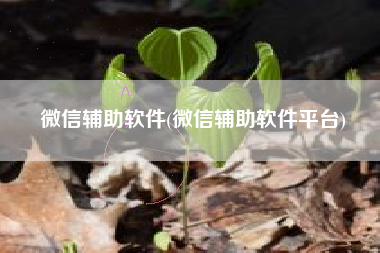 微信辅助软件(微信辅助软件平台)