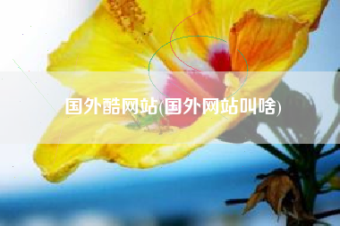 国外酷网站(国外网站叫啥)