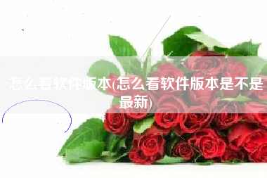 怎么看软件版本(怎么看软件版本是不是最新)