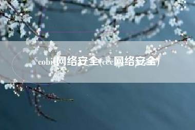 cobit网络安全(cec网络安全)