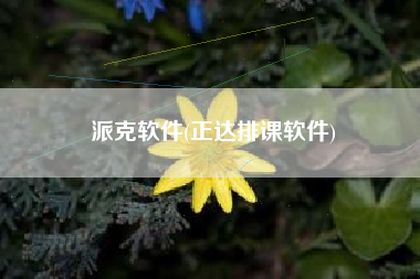 派克软件(正达排课软件)