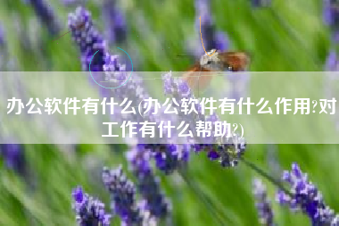 办公软件有什么(办公软件有什么作用?对工作有什么帮助?)