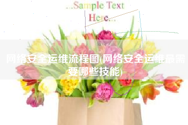 网络安全运维流程图(网络安全运维最需要哪些技能)