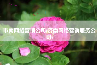 市南网络营销公司(济南网络营销服务公司)