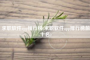 求职软件app排行榜(求职软件app排行榜前十名)