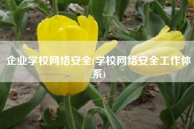 企业学校网络安全(学校网络安全工作体系)