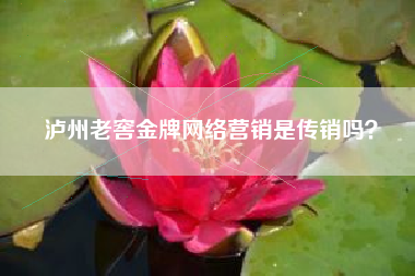 泸州老窖金牌网络营销是传销吗？
