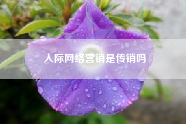 人际网络营销是传销吗