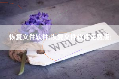 恢复文件软件(恢复文件软件免费版)