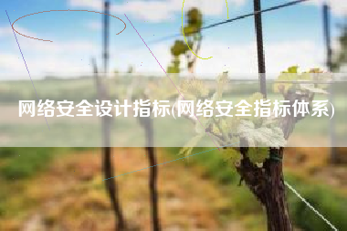 网络安全设计指标(网络安全指标体系)