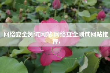 网络安全测试网站(网络安全测试网站推荐)