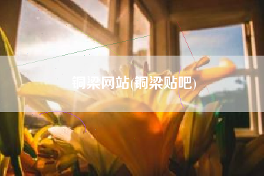 铜梁网站(铜梁贴吧)