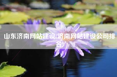 山东济南网站建设(济南网站建设公司排名)