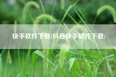 快手软件下载(抖音快手软件下载)
