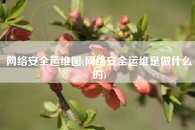 网络安全运维图(网络安全运维是做什么的)