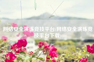 网络安全演练竞技平台(网络安全演练竞技平台下载)