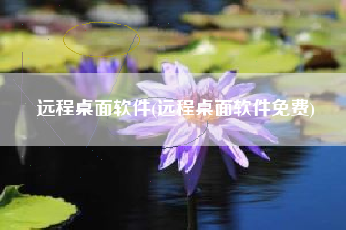 远程桌面软件(远程桌面软件免费)