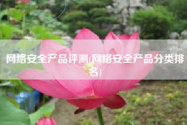 网络安全产品评测(网络安全产品分类排名)