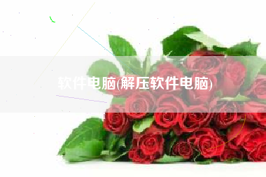 软件电脑(解压软件电脑)