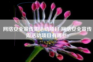 网络安全宣传周活动项目(网络安全宣传周活动项目有哪些)