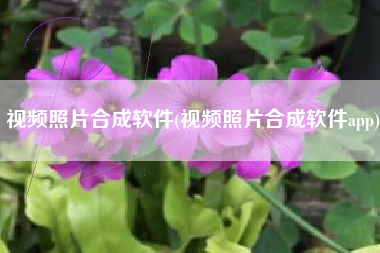 视频照片合成软件(视频照片合成软件app)