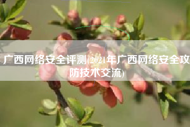 广西网络安全评测(2021年广西网络安全攻防技术交流)