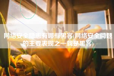 网络安全隐患有哪些黑客(网络安全问题的主要表现之一就是黑客)
