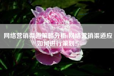 网络营销渠道策略分析(网络营销渠道应如何进行策划?)
