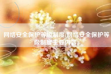 网络安全保护等级制度(网络安全保护等级制度主要内容)