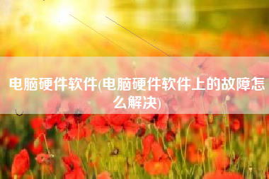电脑硬件软件(电脑硬件软件上的故障怎么解决)
