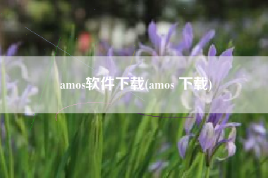 amos软件下载(amos 下载)
