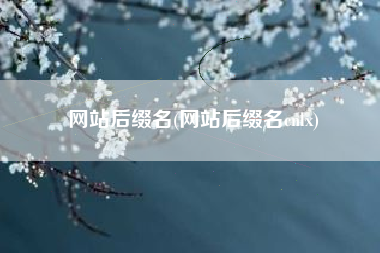 网站后缀名(网站后缀名cnlx)