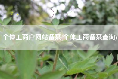 个体工商户网站备案(个体工商备案查询)