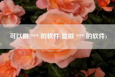 可以做 *** 的软件(能做 *** 的软件)