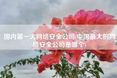 国内第一大网络安全公司(中国最大的网络安全公司是哪个)