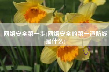 网络安全第一步(网络安全的第一道防线是什么)