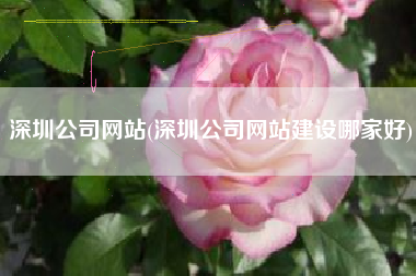 深圳公司网站(深圳公司网站建设哪家好)
