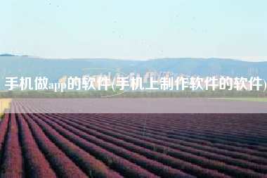手机做app的软件(手机上制作软件的软件)