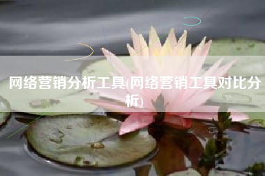 网络营销分析工具(网络营销工具对比分析)
