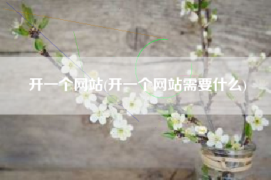 开一个网站(开一个网站需要什么)