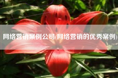 网络营销案例公司(网络营销的优秀案例)