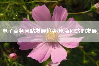 电子商务网站发展趋势(电商网站的发展)