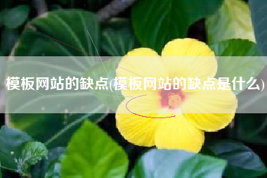 模板网站的缺点(模板网站的缺点是什么)