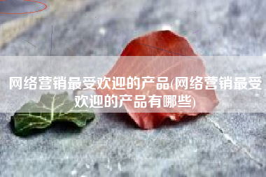 网络营销最受欢迎的产品(网络营销最受欢迎的产品有哪些)
