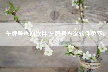 车牌号查询软件(车牌号查询软件免费)