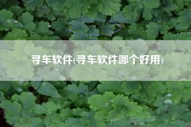 寻车软件(寻车软件哪个好用)