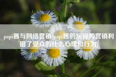 papi酱与网络营销(papi酱的短视频营销利用了受众的什么心理和行为)