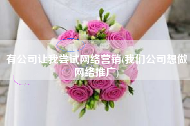 有公司让我尝试网络营销(我们公司想做网络推广)